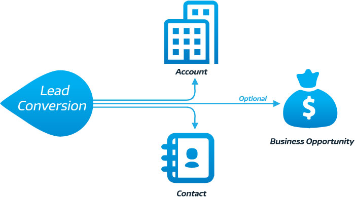 lead conversion and business opportunity