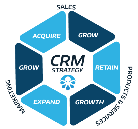 CRM strategy for growth and retention