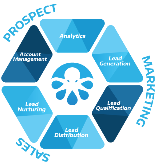 Lead Generation, Qualification, Distribution, Nurturing, Management and Analytics